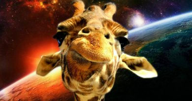 Space Giraffe